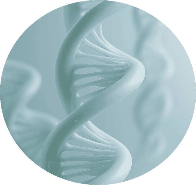 Improves metabolic efficiency